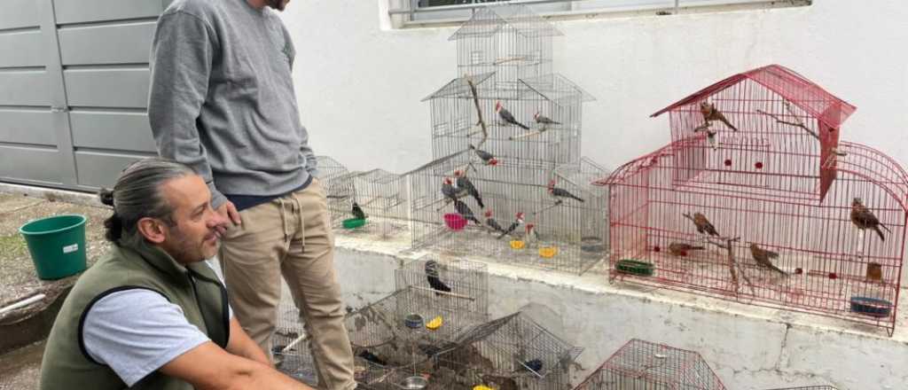 Por qué Mendoza llevó más de 40 aves rescatadas a San Luis