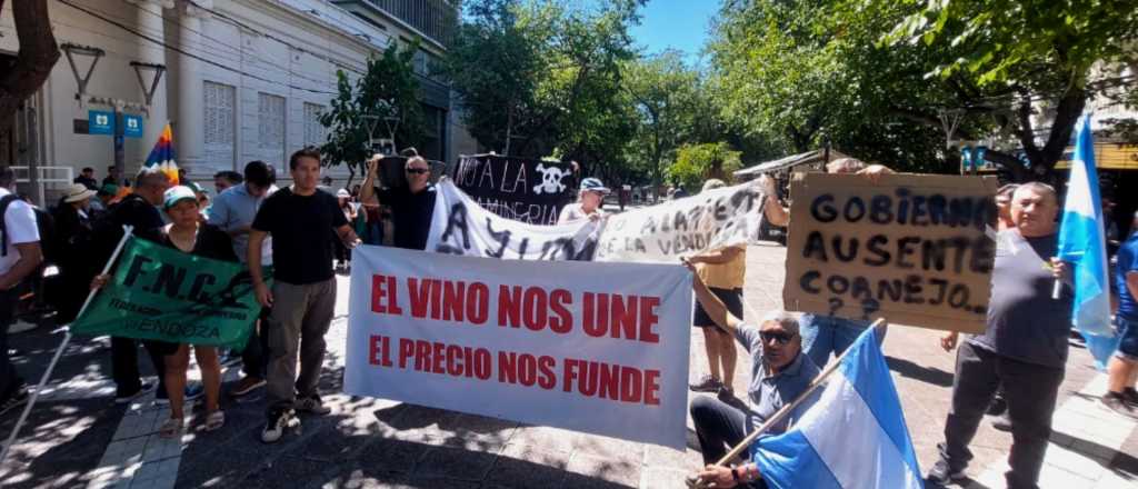 Productores regalaron uva en la Peatonal: "Producir un kilo cuesta $400 y nos pagan $200"