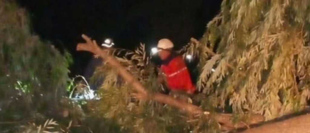 El viento Zonda alcanzó los 80 km/h en San Carlos y causó daños
