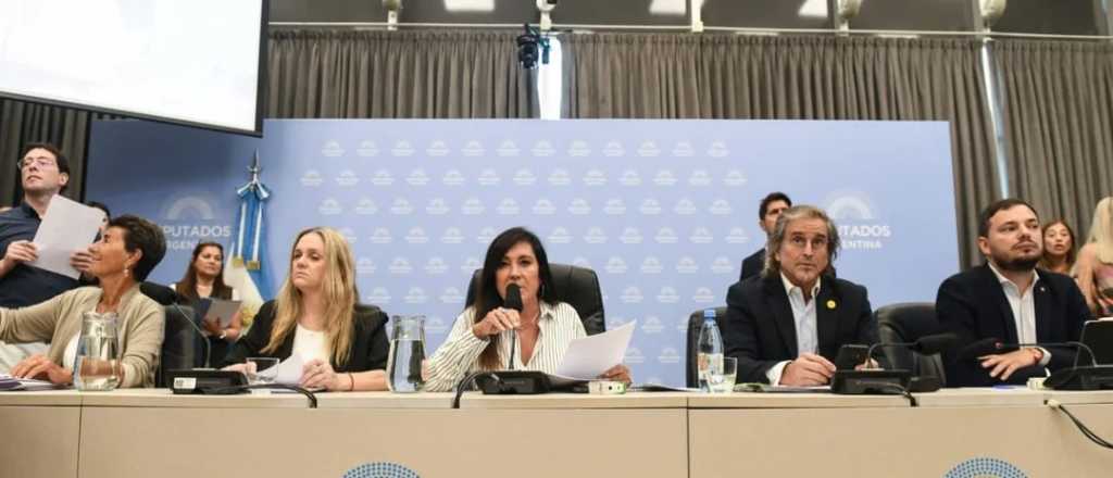 Diputados vota la baja de la edad de imputabilidad a 14 a&ntilde;os este jueves