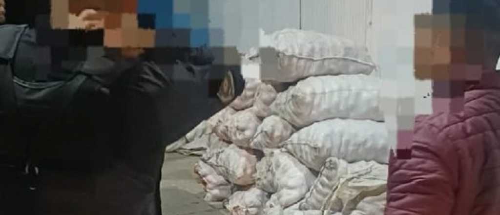 Recuperaron una tonelada de manzanas robadas de una finca de Tupungato