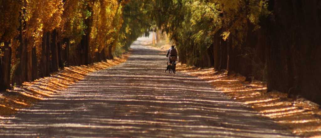 El plan de Lo Presti para transformar Uspallata y Alta Monta&ntilde;a