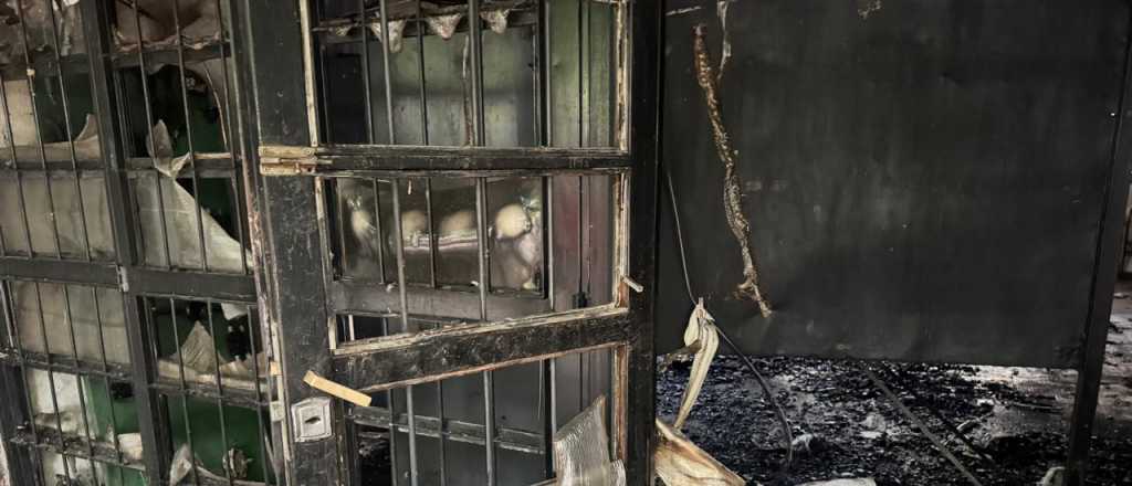 Video: un incendio arrasó parte de una escuela en Las Heras