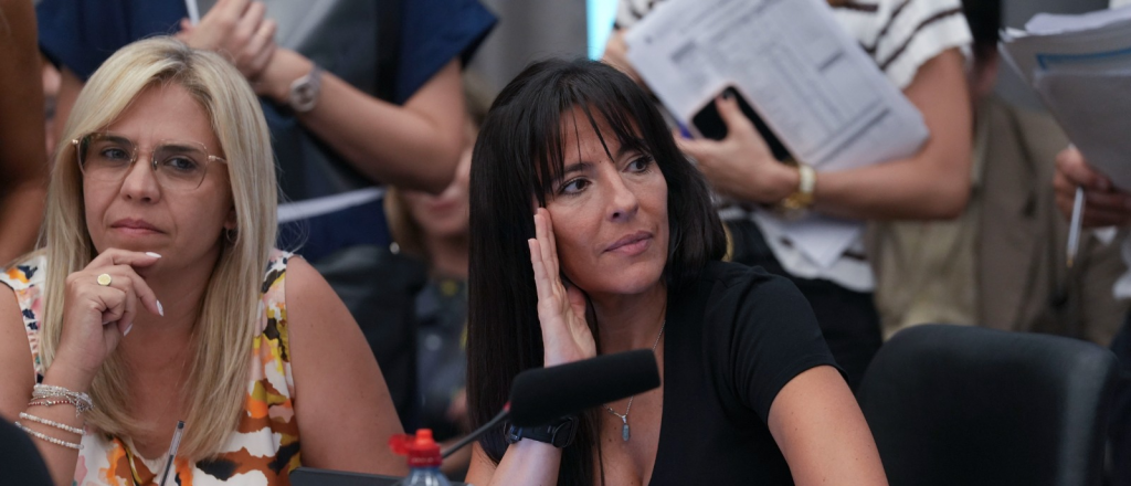 Verasay: "No quita derechos, organiza el trabajo"