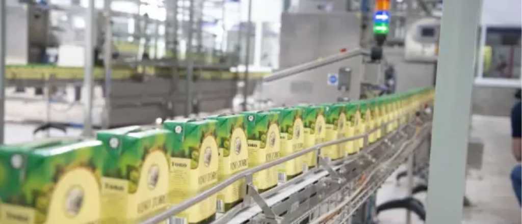 Fecovita: el riesgo que enfrentan 5.000 productores