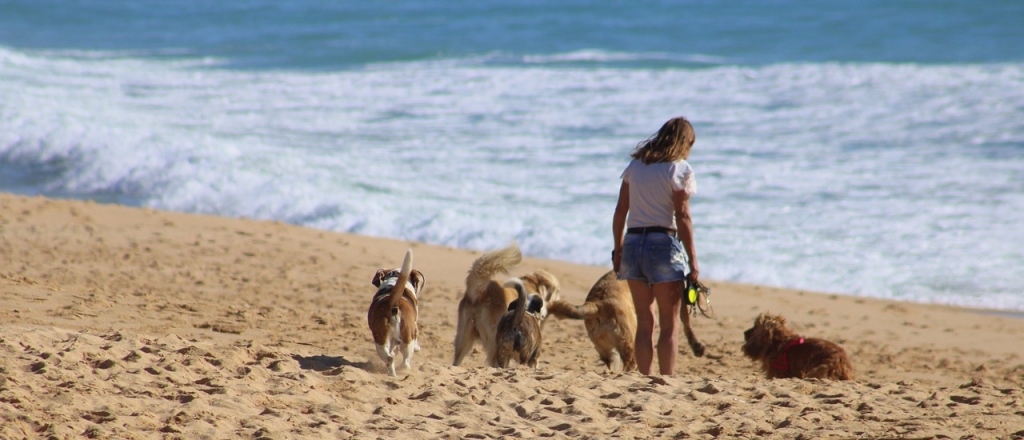 Horóscopo de hoy: qué esperan los signos para este lunes 23 de febrero
