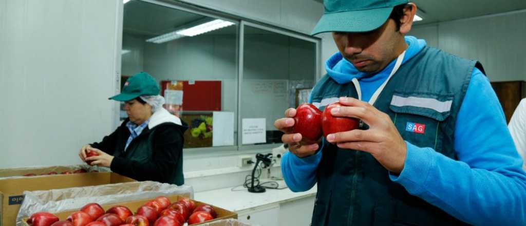 Por qu&eacute; el precio de la manzana subi&oacute; seis veces m&aacute;s que la inflaci&oacute;n