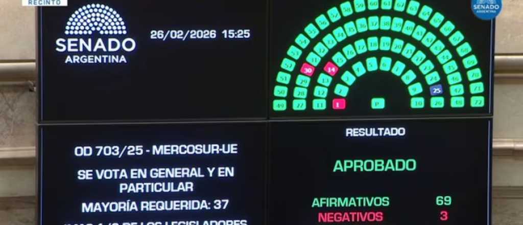 Ratificaron el acuerdo comercial entre el Mercosur y la Unión Europea