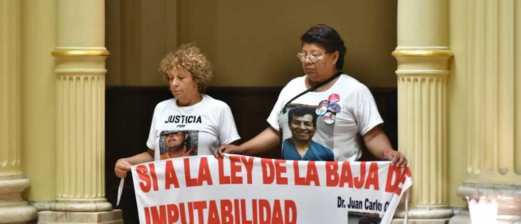 Es ley la baja de la edad de imputabilidad a 14 a&ntilde;os