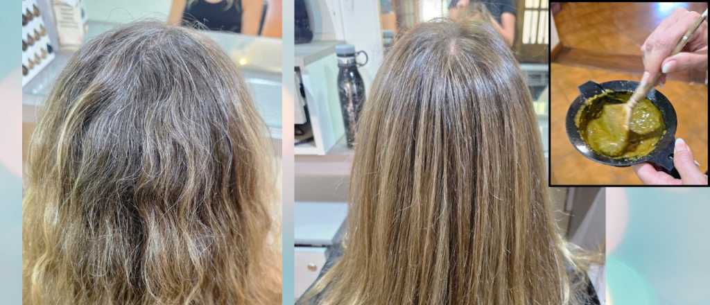 Canas: el secreto milenario