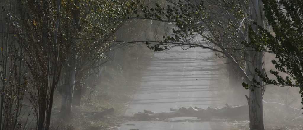 Por Zonda, suspenden las clases del turno tarde en Malarg&uuml;e