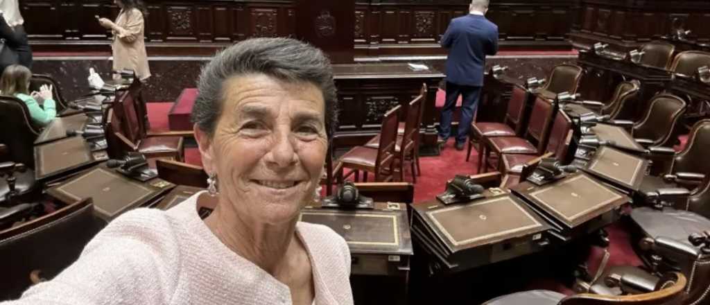 La diputada V&aacute;squez contra la oposici&oacute;n: "Todas las sesiones son mal educados"