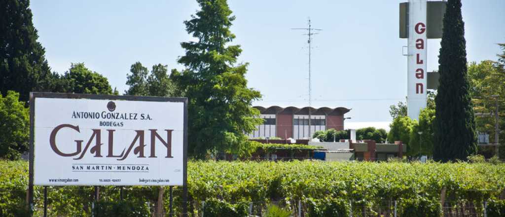 Un peritaje clave complica a Bodega Galán en la disputa con Iberte