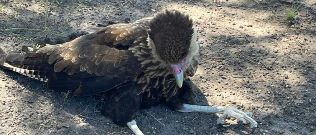 Un veterano de Malvinas y un rescate que lo conmovi&oacute; en la Ruta 153