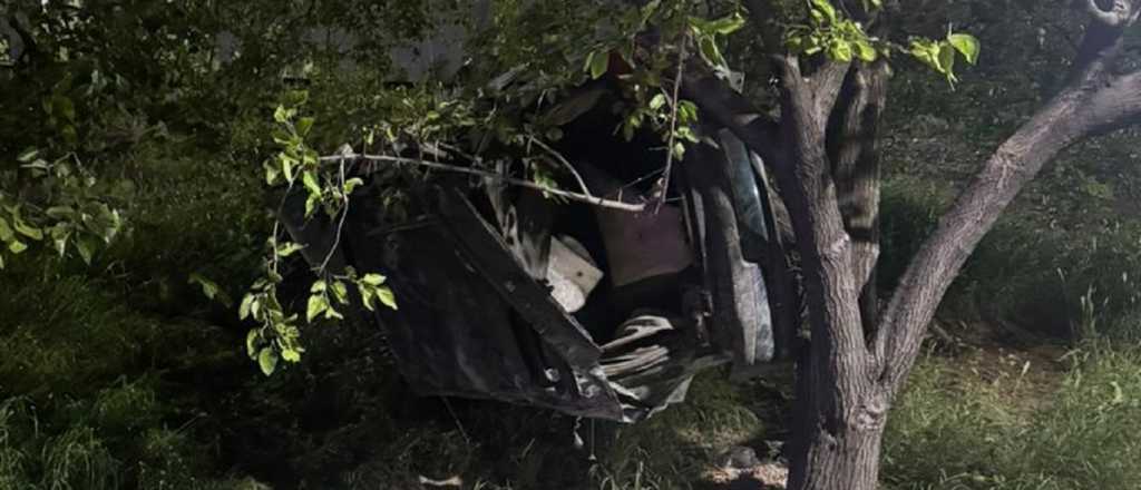 Un hombre chocó contra un árbol en Dorrego
