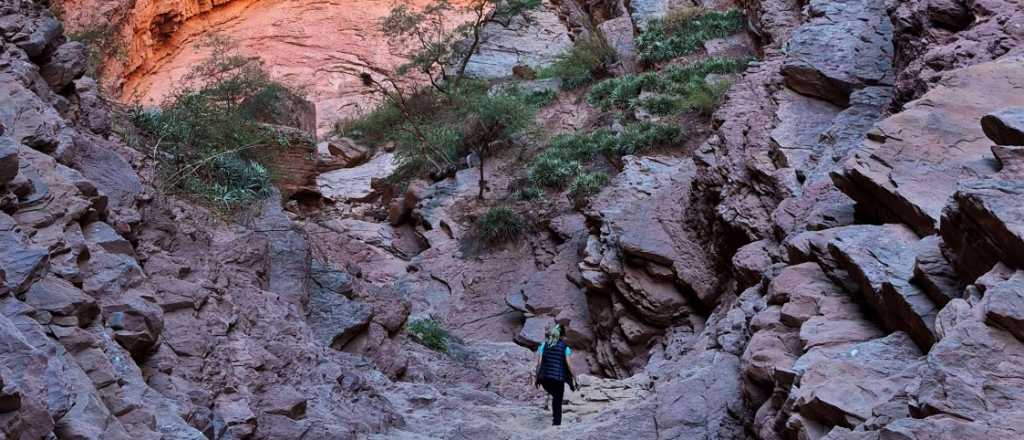 Hor&oacute;scopo de hoy: qu&eacute; esperan los signos para este martes 10