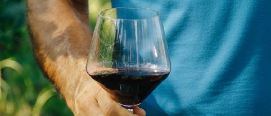 Un ex Boca, campe&oacute;n del mundo, lanz&oacute; su vino mendocino