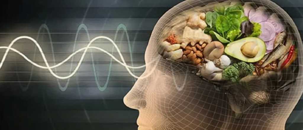 Los nueve alimentos que ayudan a cuidar el cerebro y mejorar la memoria
