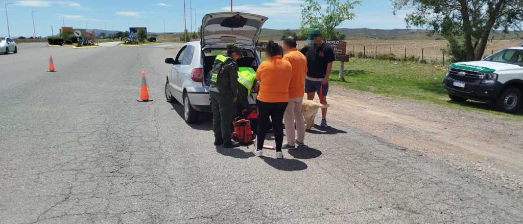 Encontraron droga camino a Mendoza