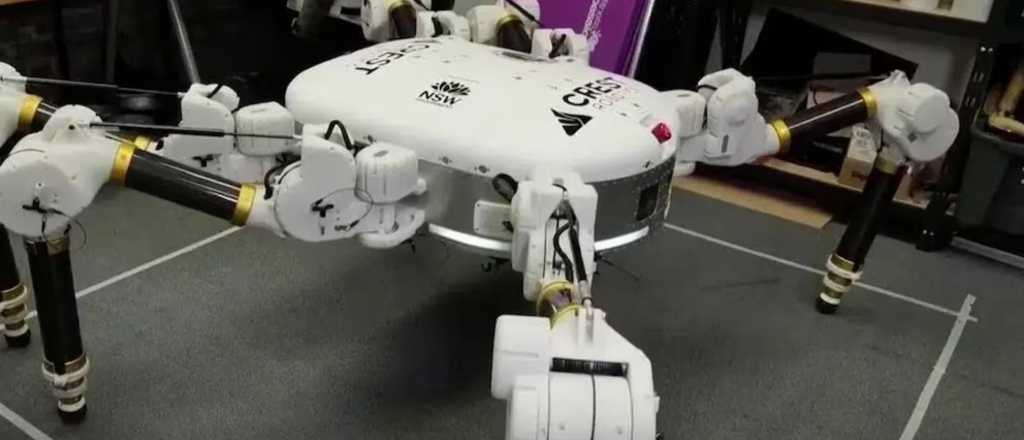 Así es Charlotte, el robot que construye casas en solo un día