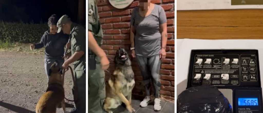 Detuvieron a "una mula" en San Rafael transportando cocaína