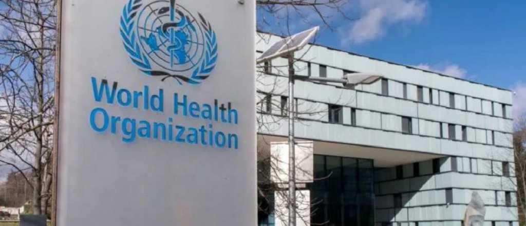 El Gobierno confirmó que Argentina se retira de la OMS