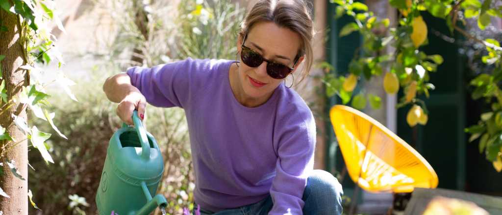 La guía esencial para que tu jardín resista al calor extremo