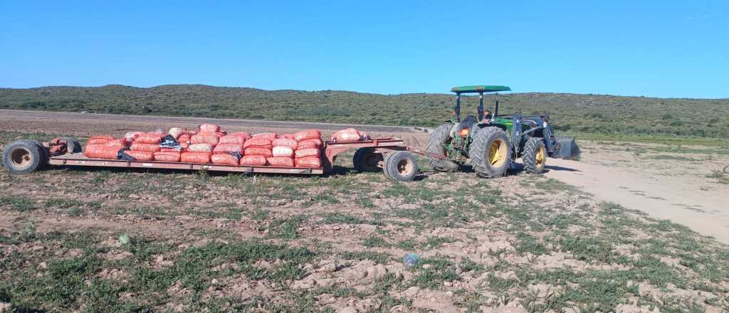 Muri&oacute; un cosechador aplastado por el acoplado de un tractor en San Rafael