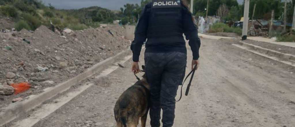 Un perro rastreó a un sospechoso que habría robado en una obra de Godoy Cruz