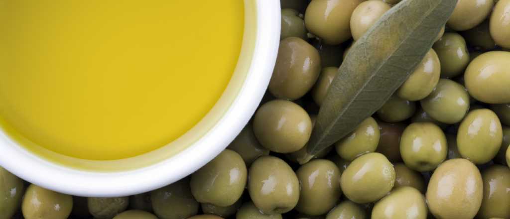 Cada vez más turistas interesados en la producción de aceite de oliva