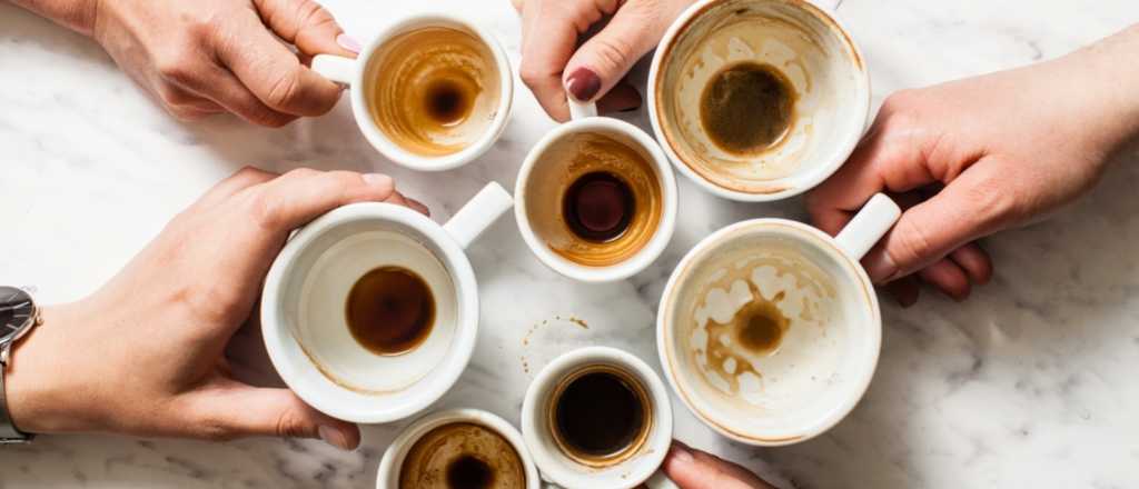 C&oacute;mo eliminar las manchas dif&iacute;ciles de caf&eacute; y t&eacute; sin arruinar las tazas