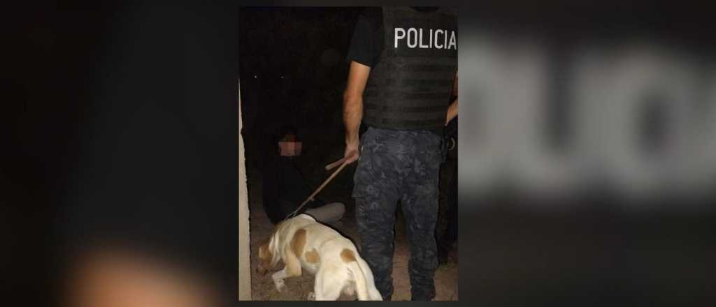 Un paciente psiqui&aacute;trico sali&oacute; de su casa armado y lo encontr&oacute; un perro polic&iacute;a