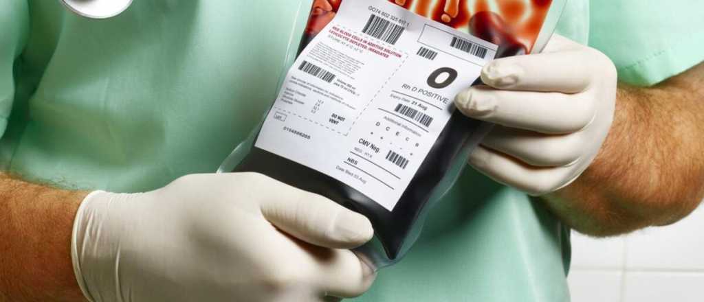 Fuerte cambio de Testigos de Jehov&aacute; sobre transfusiones y el "paliativo" mendocino