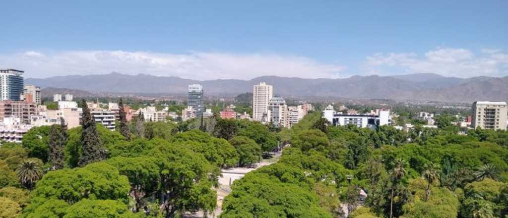 Qué cambia con la nueva ley de arbolado público en Mendoza