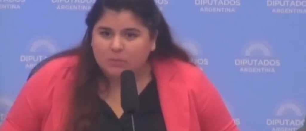 "¡Silencio!": el grito que desconcertó en la audiencia por la Ley de Glaciares