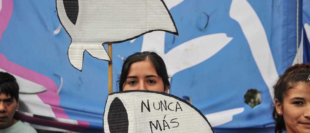 A 50 a&ntilde;os del golpe, los j&oacute;venes son los que menos creen en la democracia