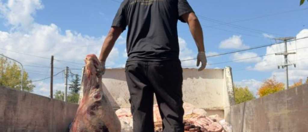 Sospechosos de caza de guanacos tenían más de 2000 kilos de carne podrida