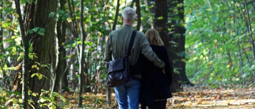 Horóscopo hoy: qué trae para cada signo y dónde poner la energía