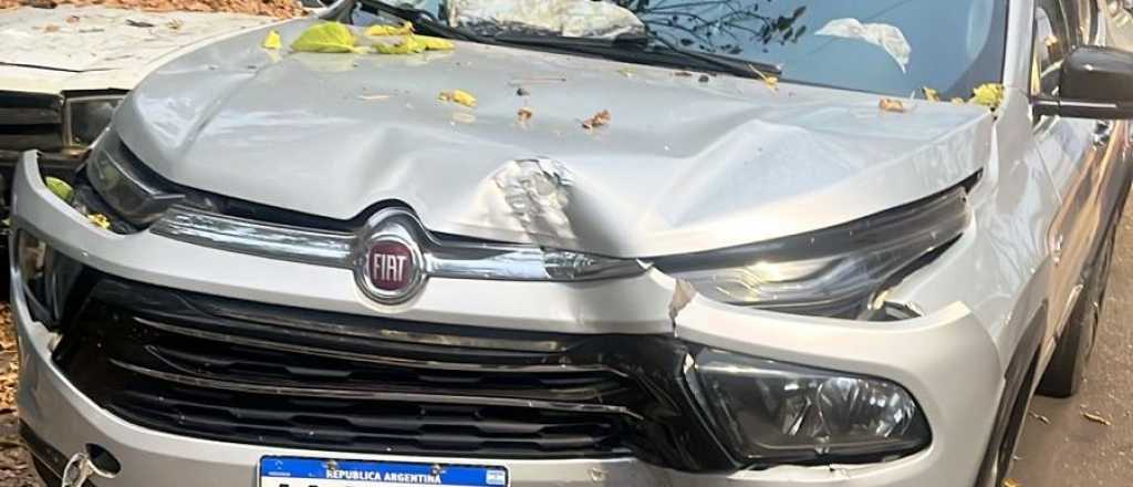 Un conductor chocó borracho contra un árbol en Guaymallén