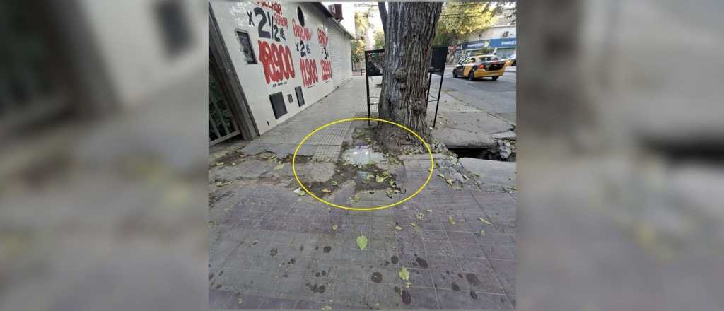 Desechos de carne en comercios de Ciudad: multas por malos olores