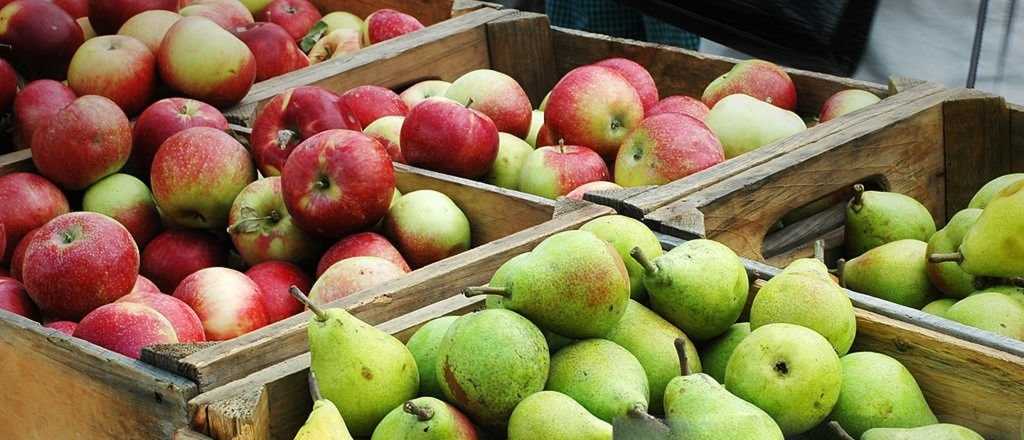 Caída sin fin: por qué la pera y la manzana casi desaparecieron en Mendoza