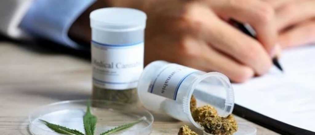 Crean el registro de m&eacute;dicos que pueden recetar cannabis