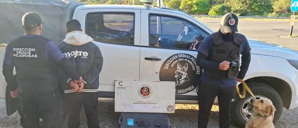 Un joven cay&oacute; con 12 kilos de marihuana camino a Mendoza