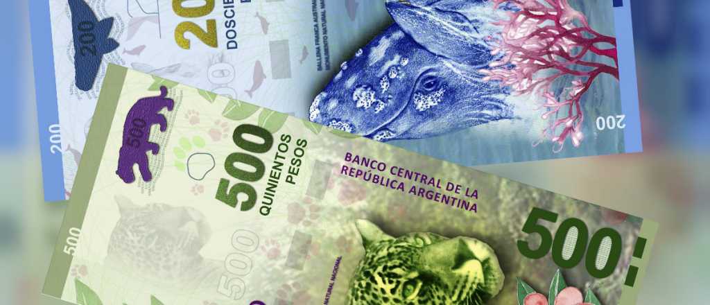 Tentadora propuesta para que Argentina tenga billetes de plástico