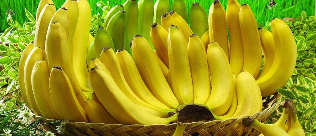 La increíble técnica que usan los monos para abrir la banana