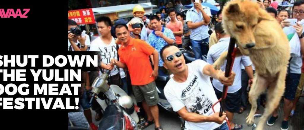 El horrible Festival de Carne de Perro en China