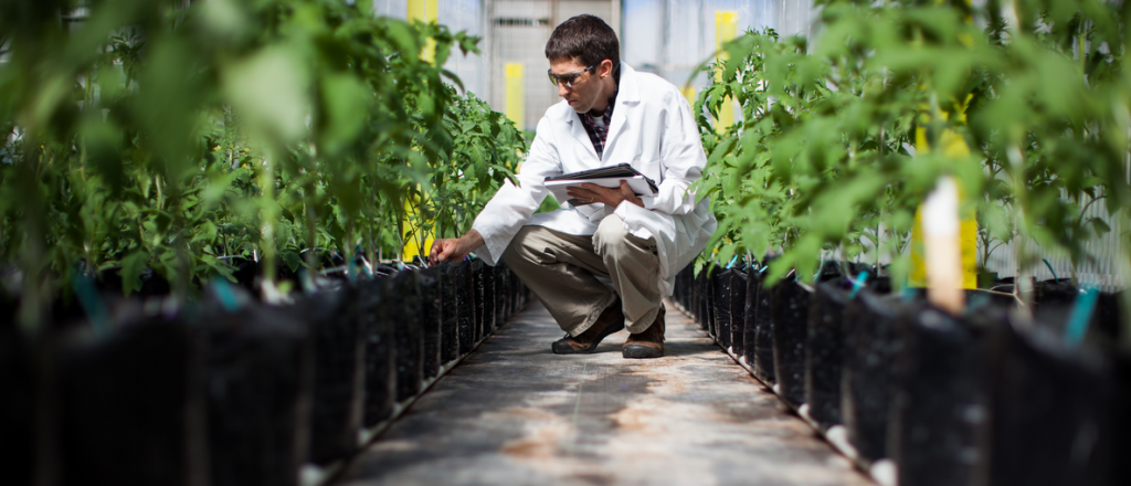 Aprobaron la compra de Monsanto por parte de Bayer