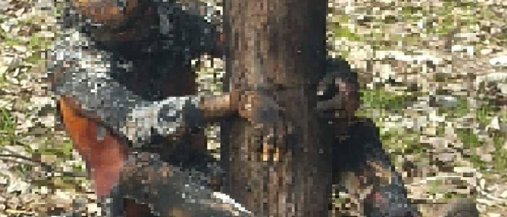 Hombre apareció carbonizado y atado a un árbol en Maipú