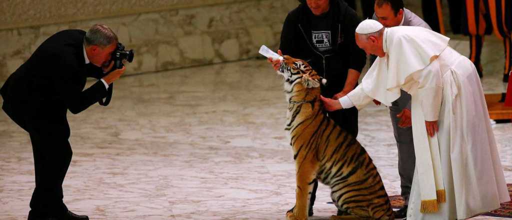 El papa Francisco se reunió con un tigre y con artistas callejeros