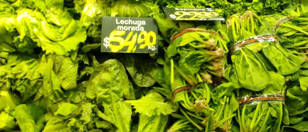 ¿Cuántos tipos de lechuga existen?